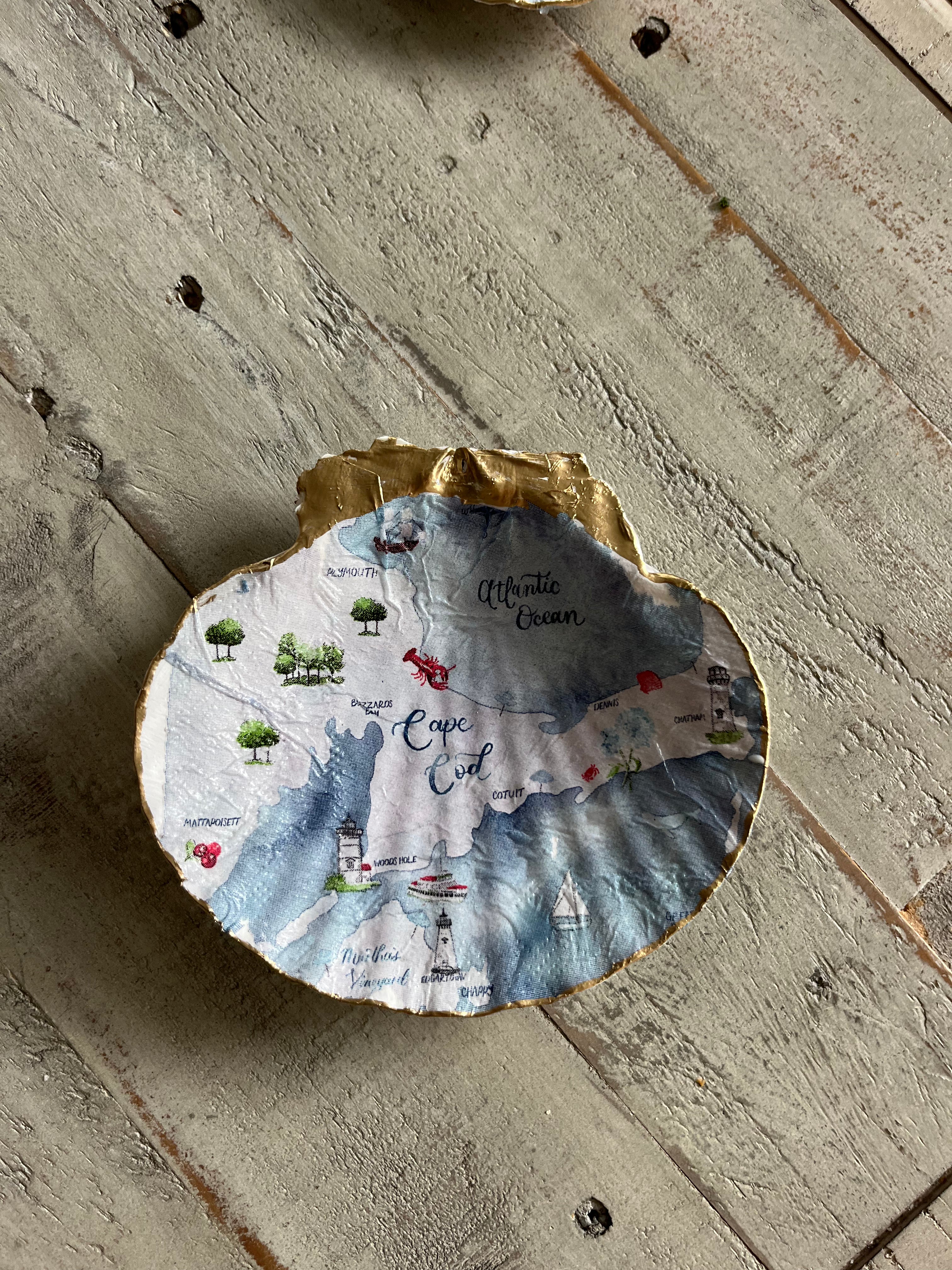 Cape Cod Scallop Shell
