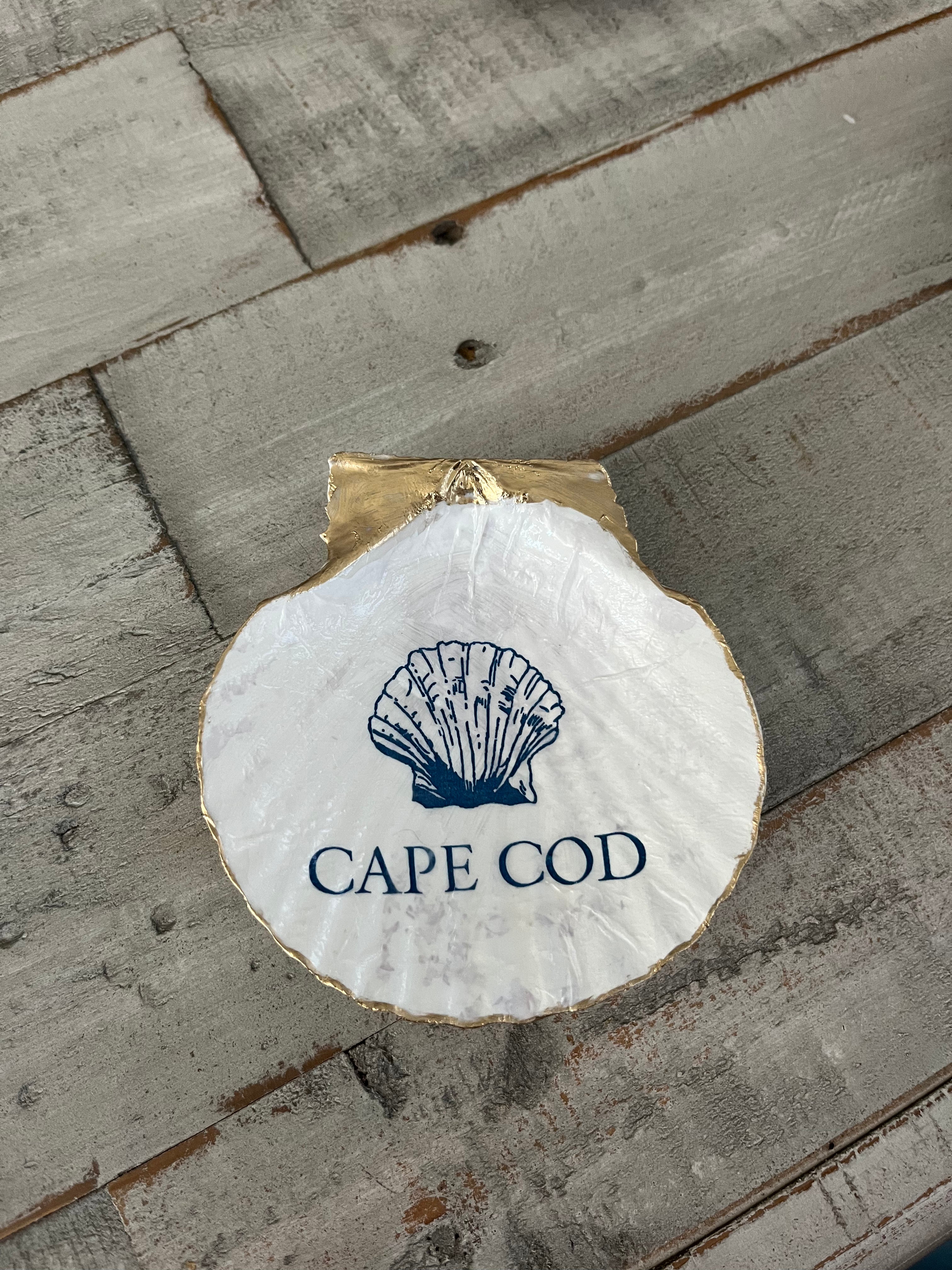 White Cape Cod Scallop Shell