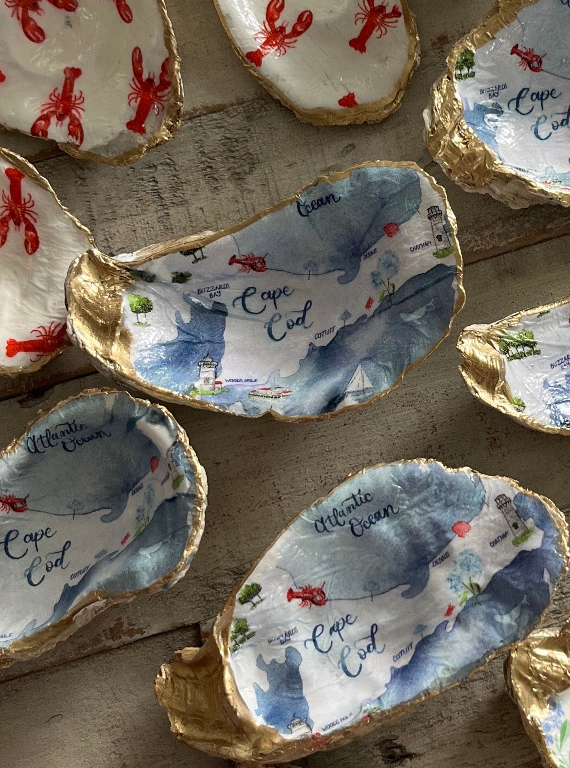 Cape Cod Oyster Shell