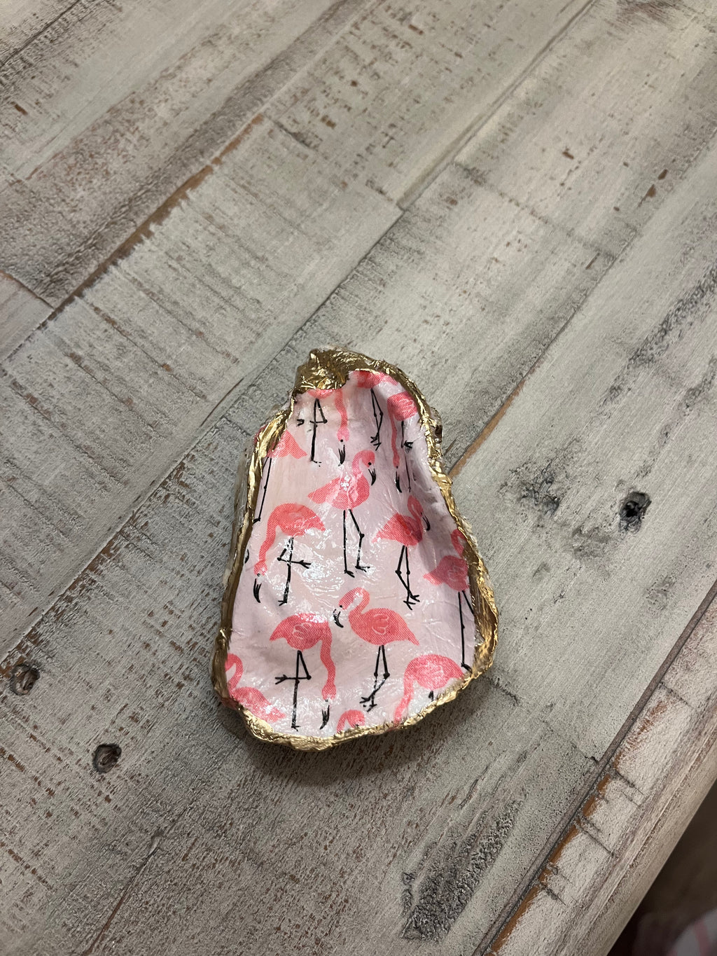 Freddie Oyster Shell